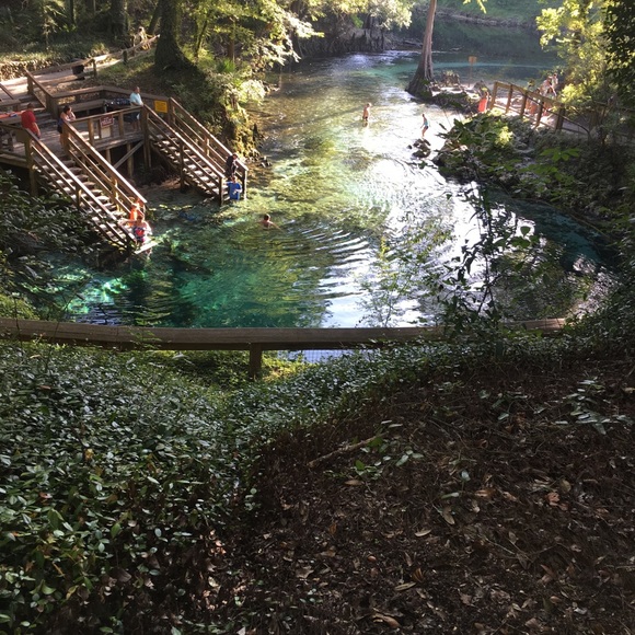 Meet your Posher, Evelyn - Picture 1 of 1